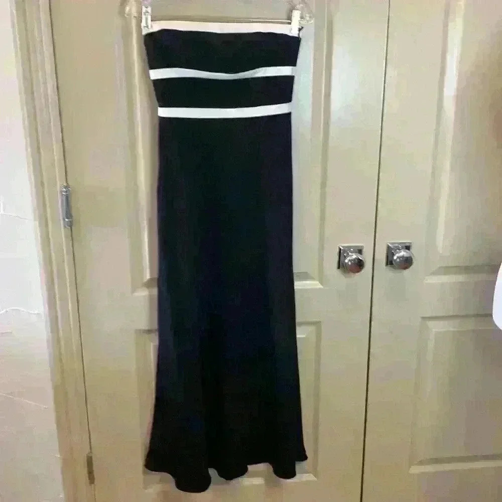 Ann Taylor Petite Strapless Dress 0P